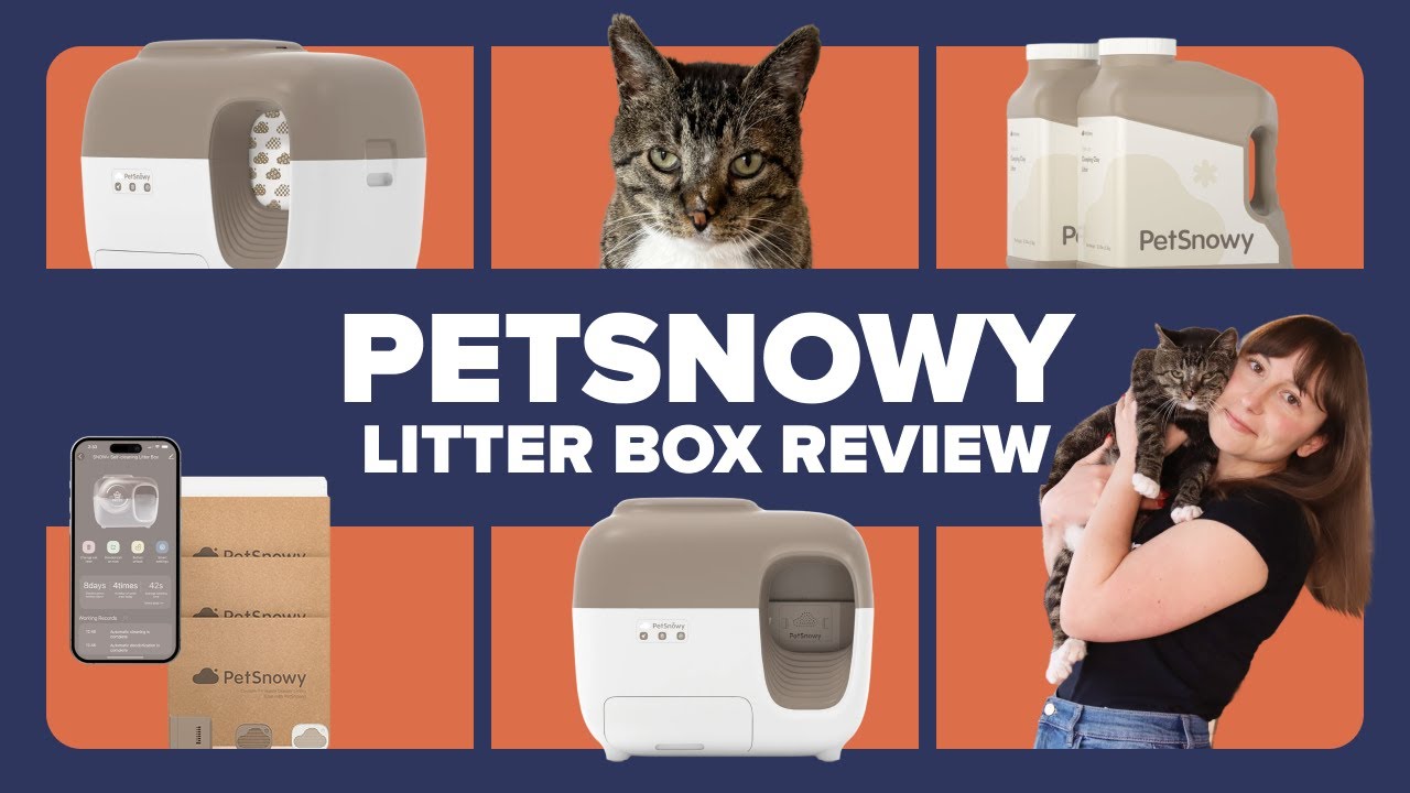 PetSnowy Self Cleaning Automatic Litter Box Review