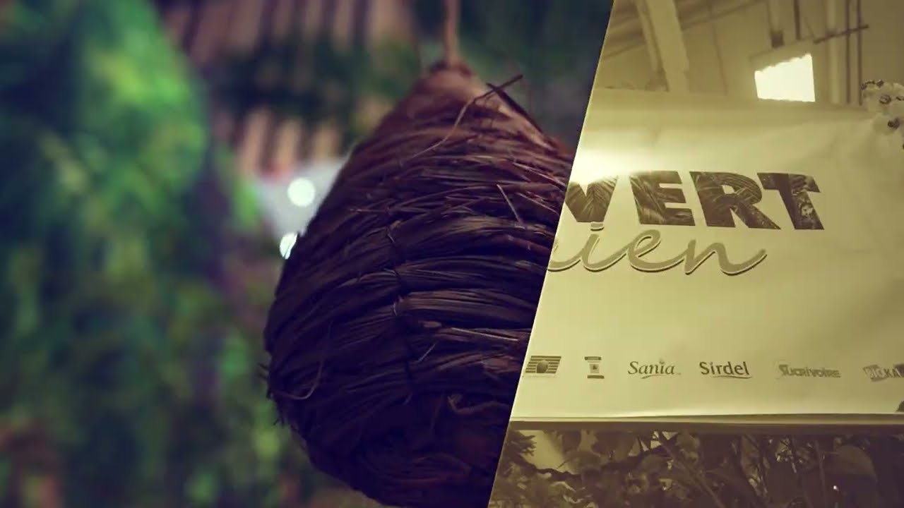 EPISODE 2 SIA 2026 - LA FORET DES SOLUTIONS