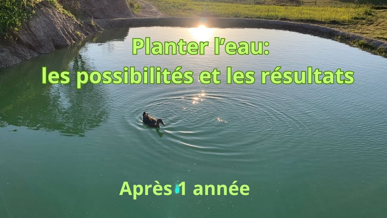 Planter l'eau: les possibilités et les résultats