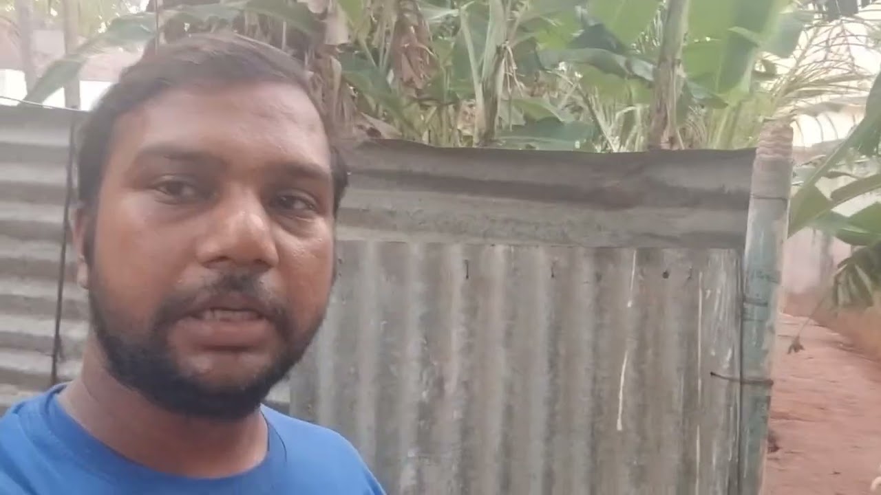 வாத்து🦆முட்டையின் நிலைமை 🦆