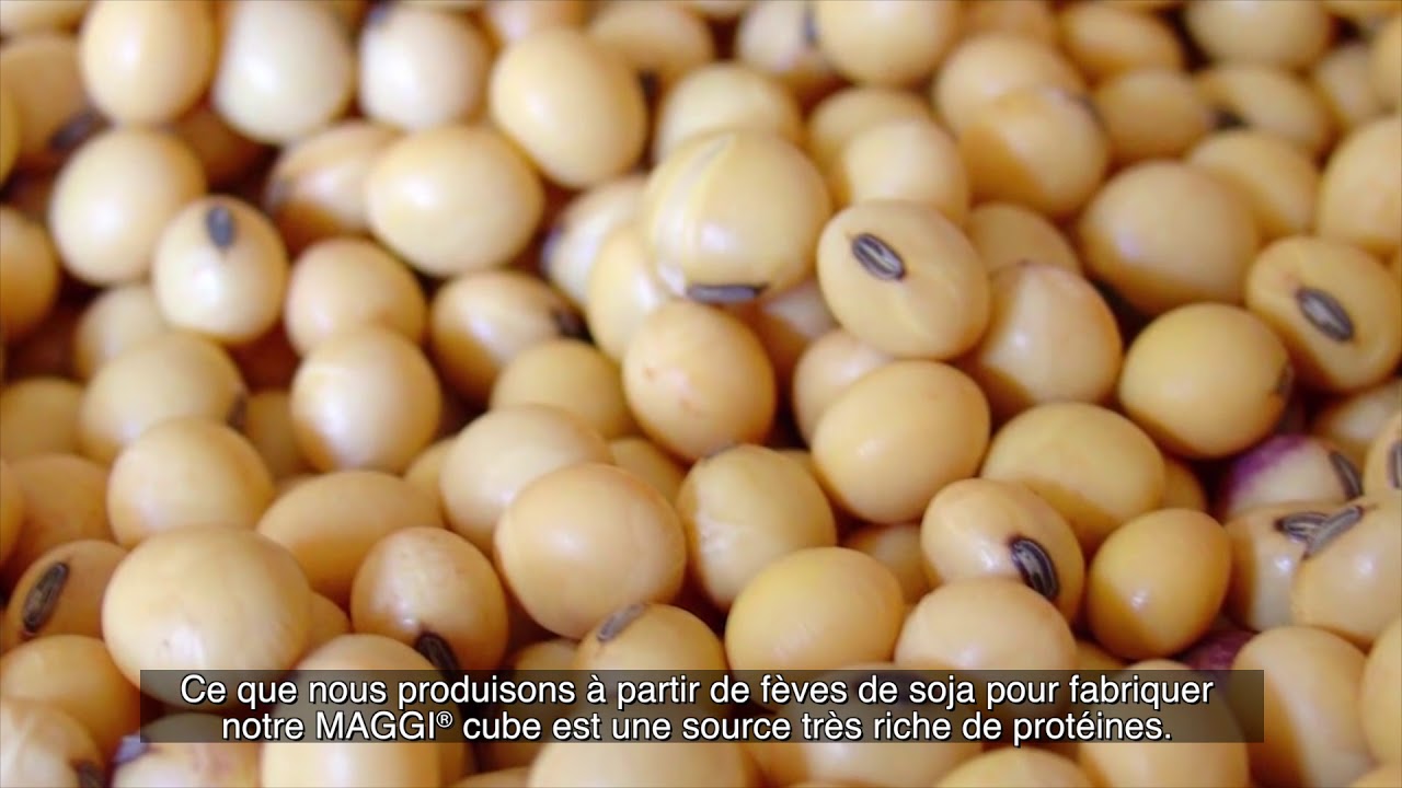 Nigeria | Process Of Making MAGGI®? | Comment Se Fabriquent Les Boullons MAGGI®?