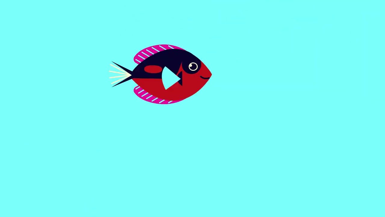 Video cho m&egrave;o chơi - C&aacute; bơi tinh nghịch - Cat game ,swimming fish