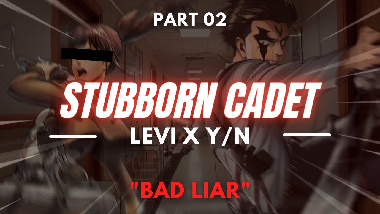 Stubborn Cadet - Pt 2 || LEVI X Y/N | 