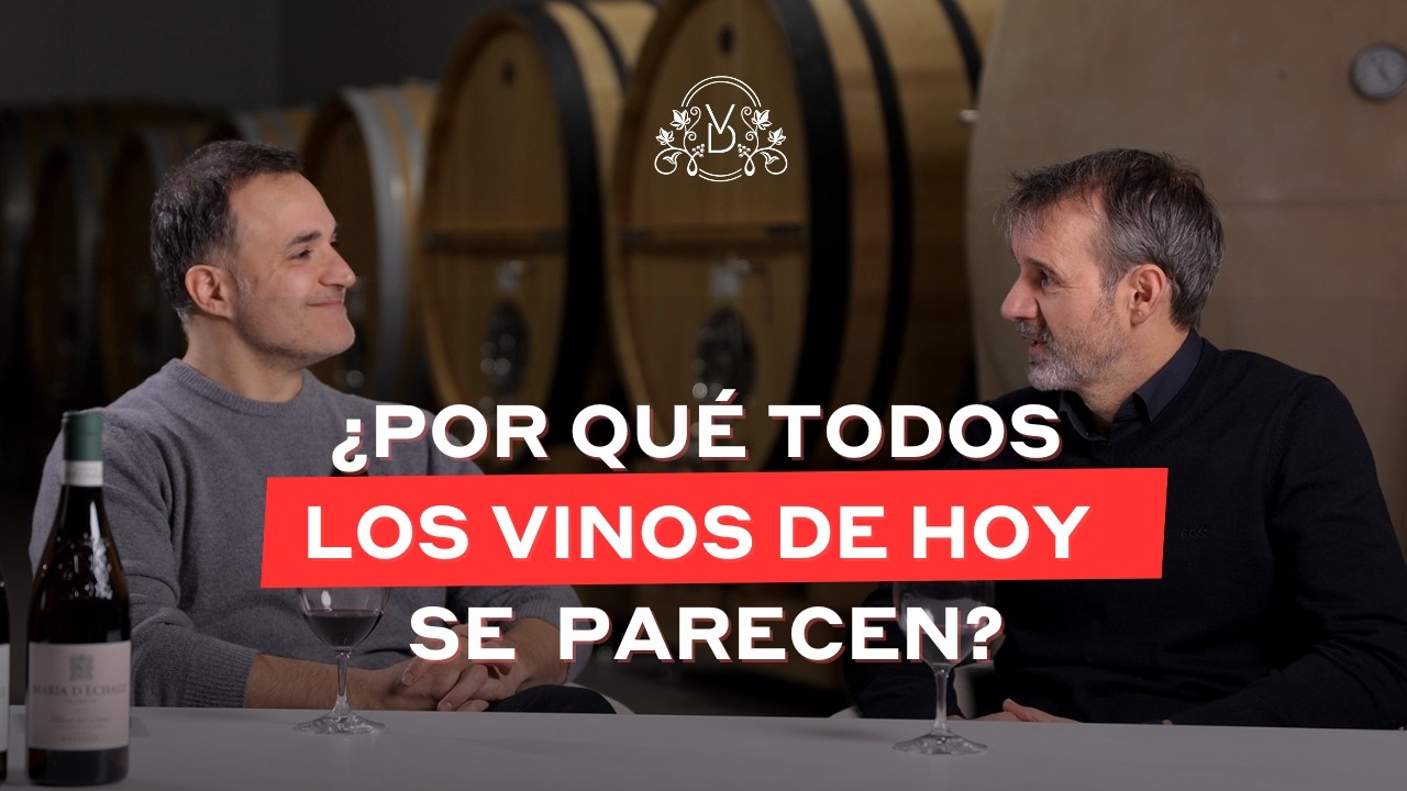 Cepa joven. Espíritu de viña vieja. ¿Es posible? | Desmontando mitos con Dominio D' Echauz | #12