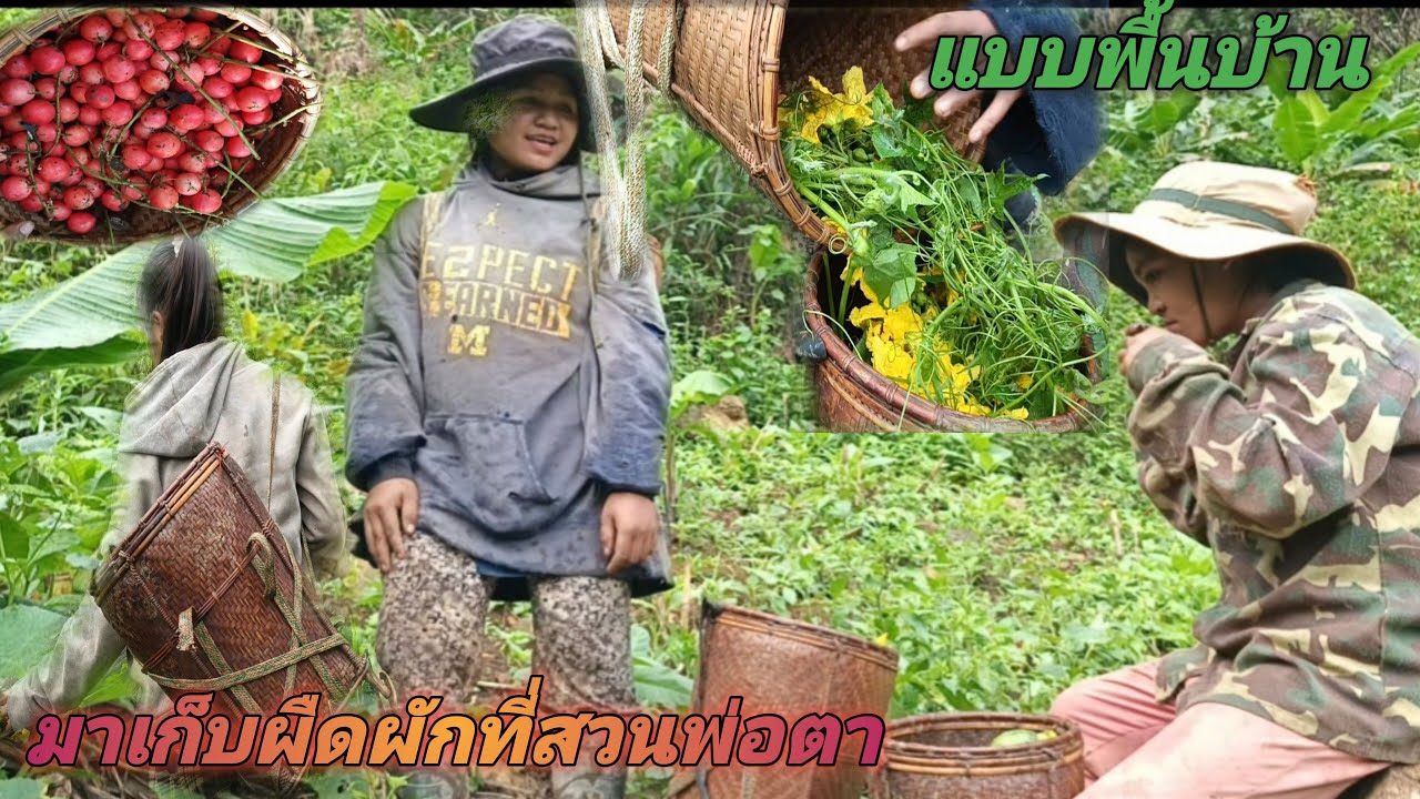 น้องฟ้าพาน้องฝนกับเข้าสวนพ่อตา เข้ามาเก็บพืชผักโคตรเยอะและมีความสุขมากๆครับ