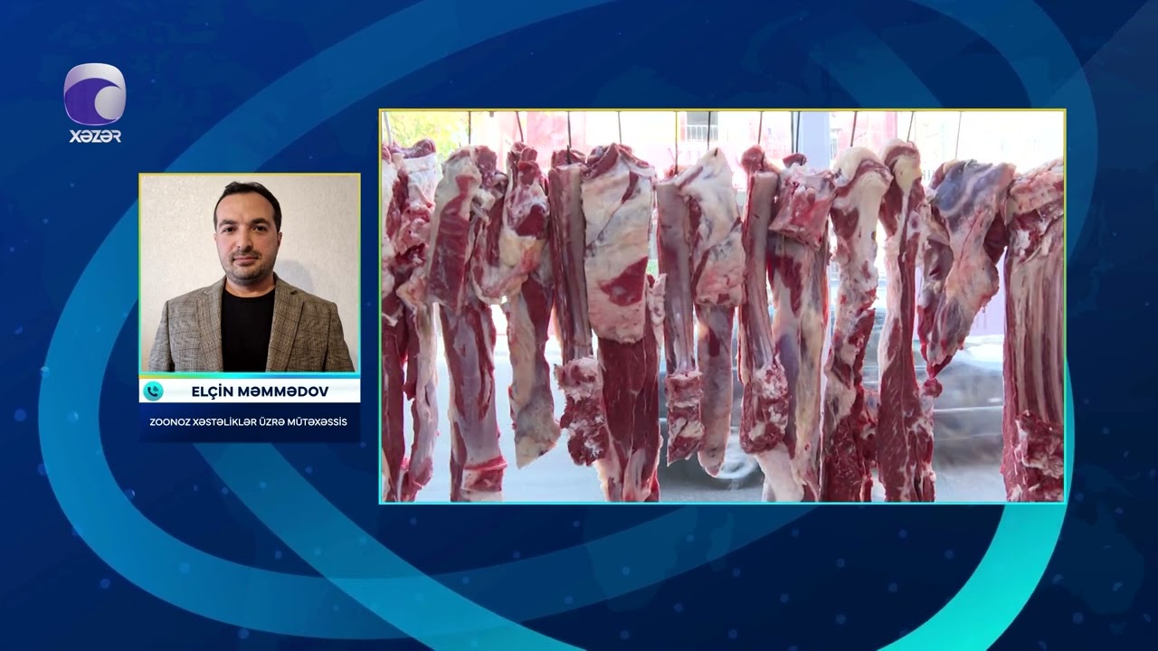 Sosial şəbəkələrdə inəyin öd daşları satılır