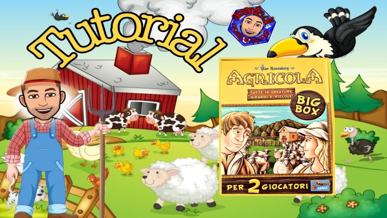 Agricola Big Box per 2 giocatori - tutorial - gioco da tavolo