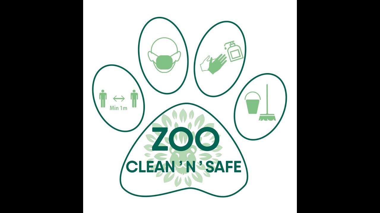Thoiry Zoo Clean 'n' Safe !