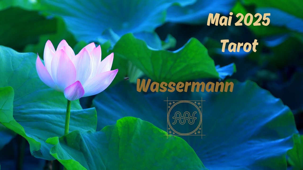 WASSERMANN ♒️ MAI 2025 | Positive Veränderungen/Liebeskummer beim Gegenüber 🌞💔 | Orakel Tarot 🔮✨