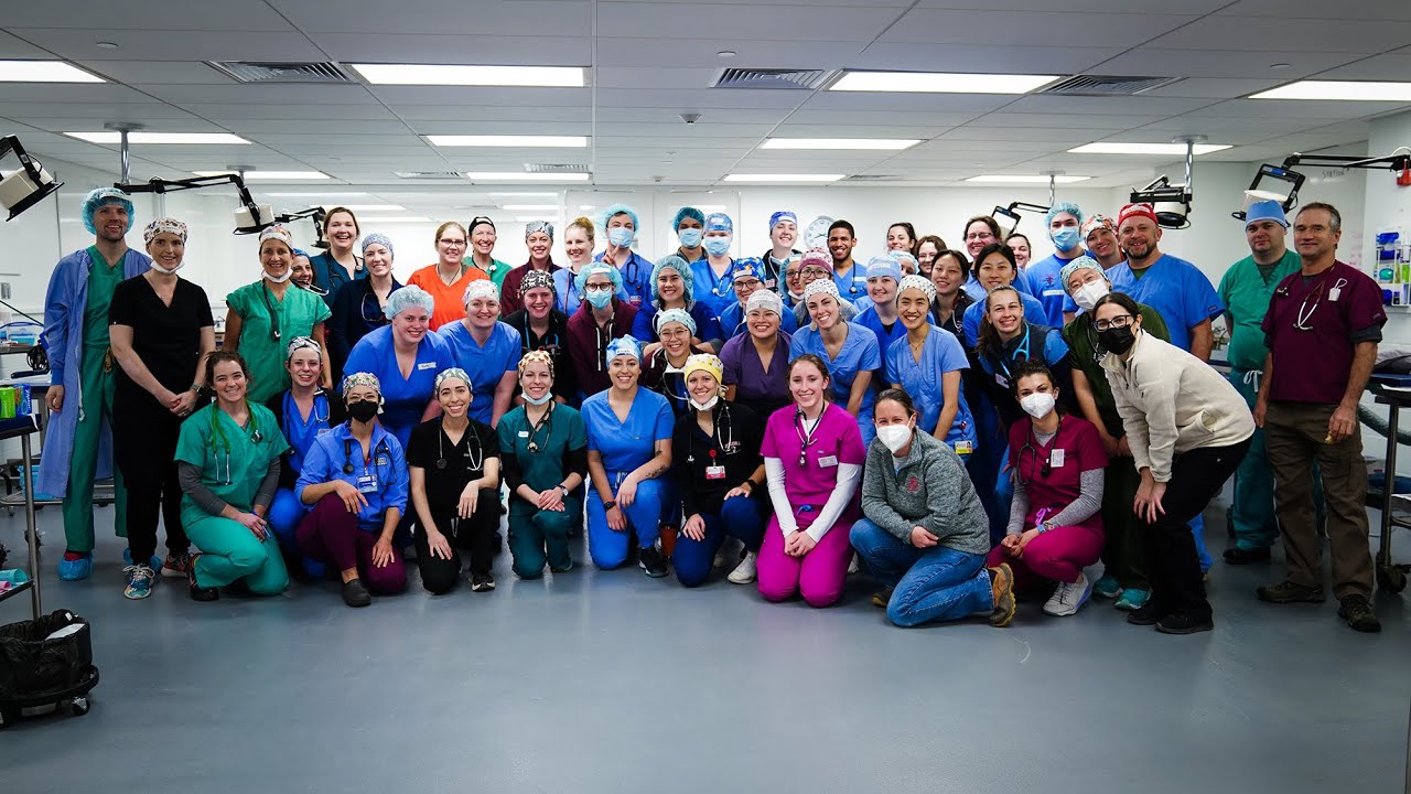 Fourth annual Spay Day at #CornellVet helps community cats