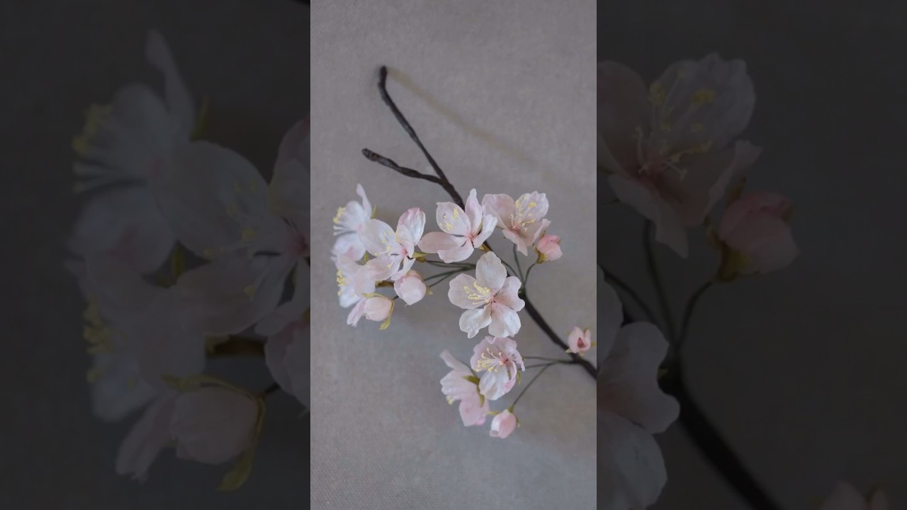 How to Make Realistic Cherry Blossom for Cake 🌸 Learn at #ekatsacademy #cherryblossom #cakeshorts