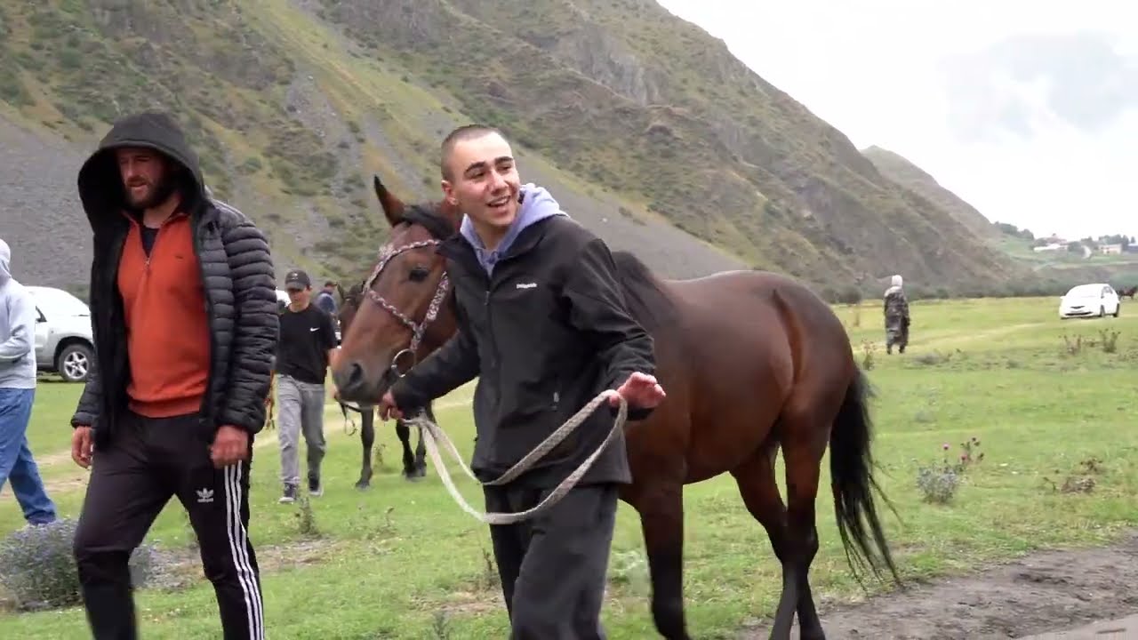 დოღი ყაზბეგში