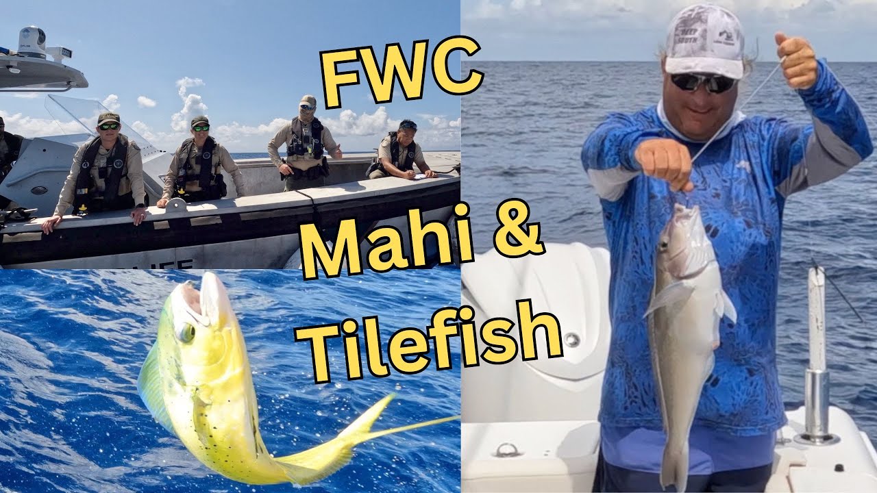 The FWC - Busting Mahi-Mahi & Deep Dropping For Tilefish!