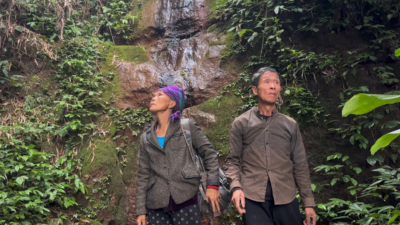 70-Year-Old Couple vs The Deep Jungle – Finding Rare & Bizarre Creatures!