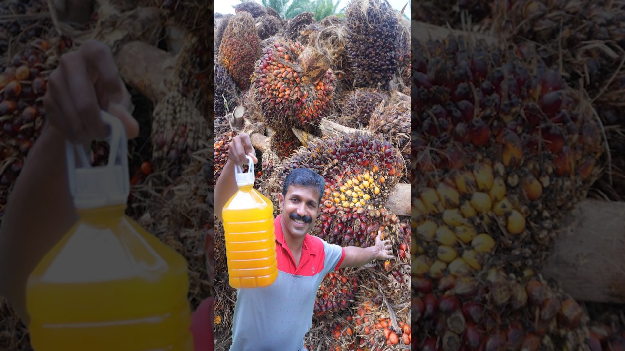 Crude Palm oil making process