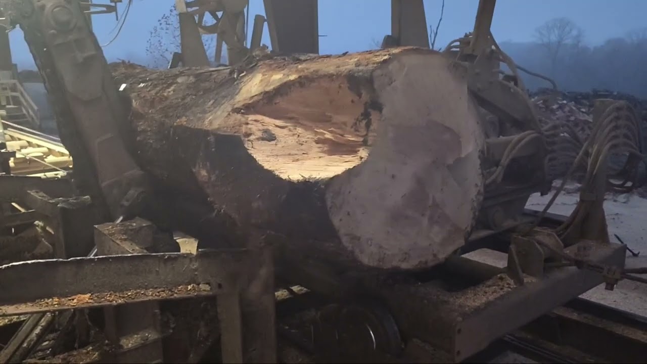 Sawing two big logs this morning  #sawmill #8