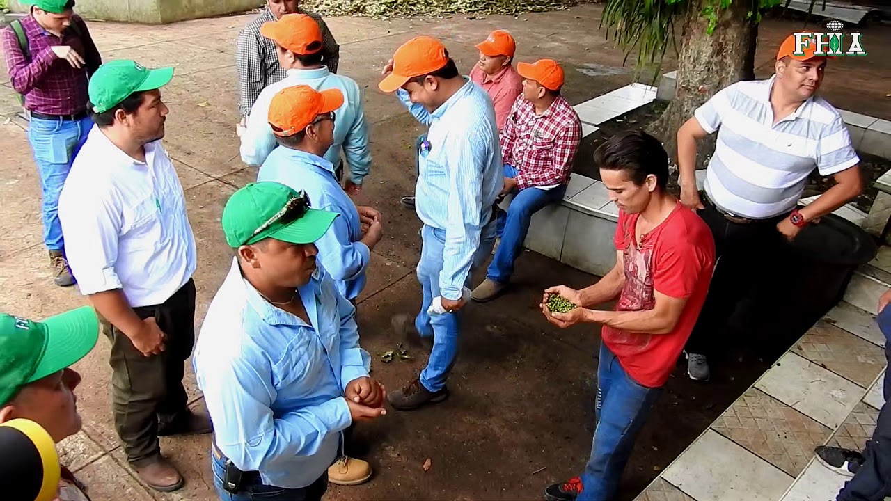 REPORTAJE CURSO PIMIENTA GORDA EN HONDURAS