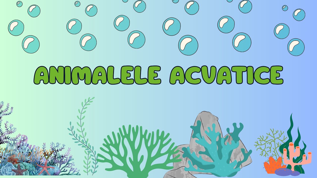 Animalele Acvatice | Animalele din apa | Video educativ pentru copii | Casuta Cunoasterii