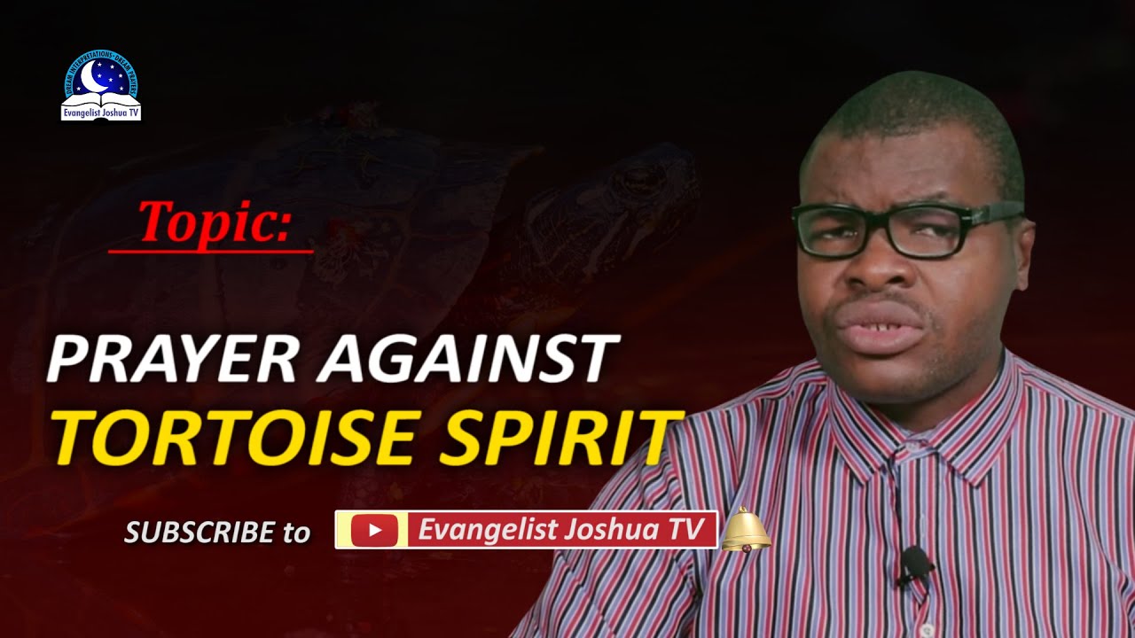 Deliverance Prayers Against Tortoise Spirit - Spiritual Meaning of Tortoise