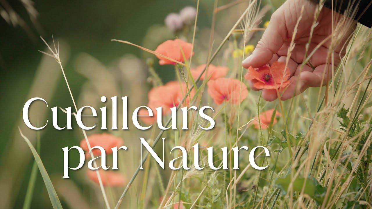 Cueilleurs par nature - Bande annonce SalamandreTV