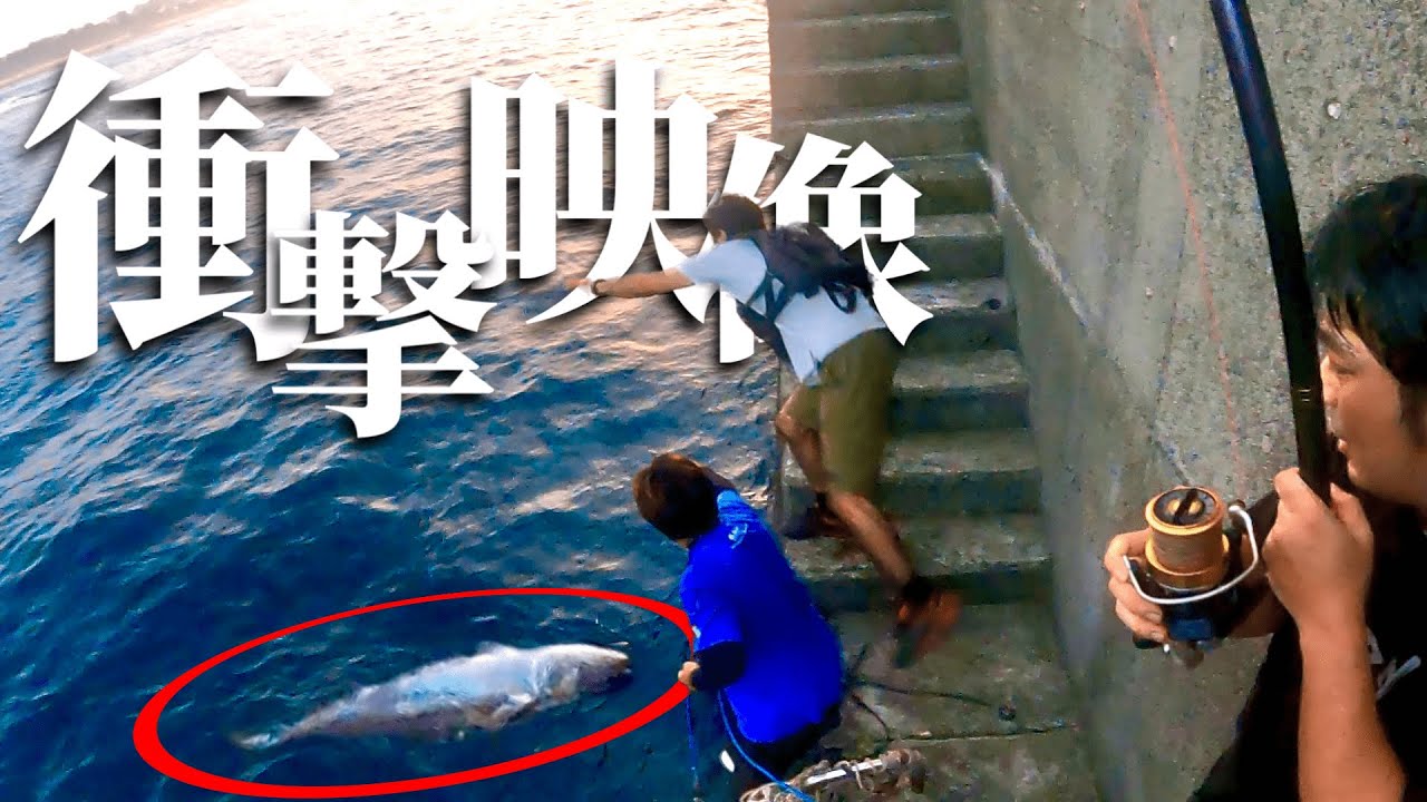 【神回】奄美大島の1級堤防がえげつない！奇跡到来編（最終章）