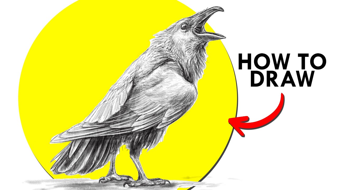 How To Draw A Raven