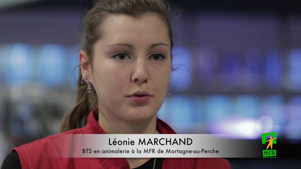 MFR Animalerie