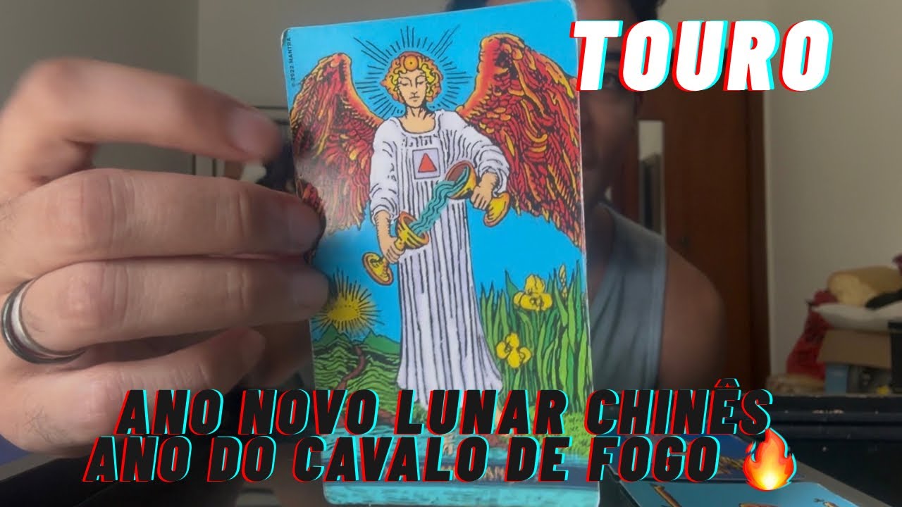 TOURO - Você está SAINDO do CASULO, e nesse ANO sua METAMORFOSE será COMPLETA! 🦋✨👑