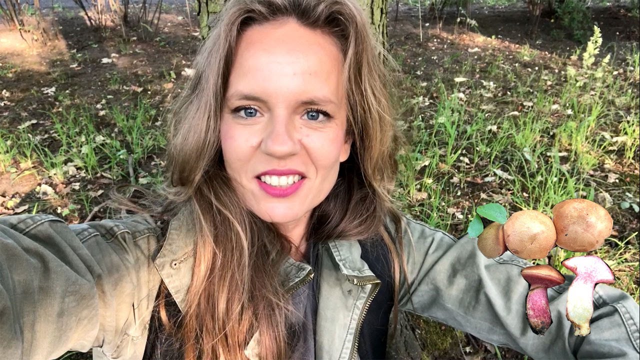 Rzadki maślaczek rubinowy znowu rośnie we Wrocławiu