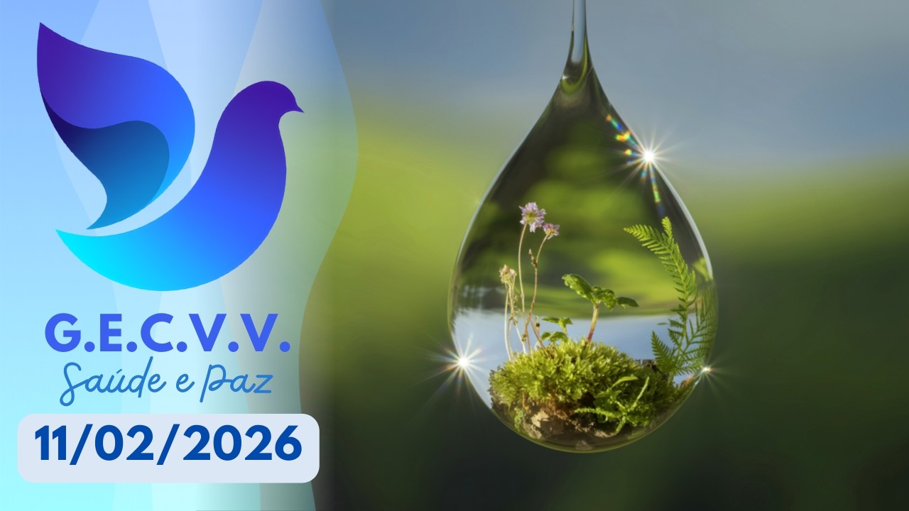 GOTAS DE LUZ | Reunião de Quarta-Feira | 11/02/2026