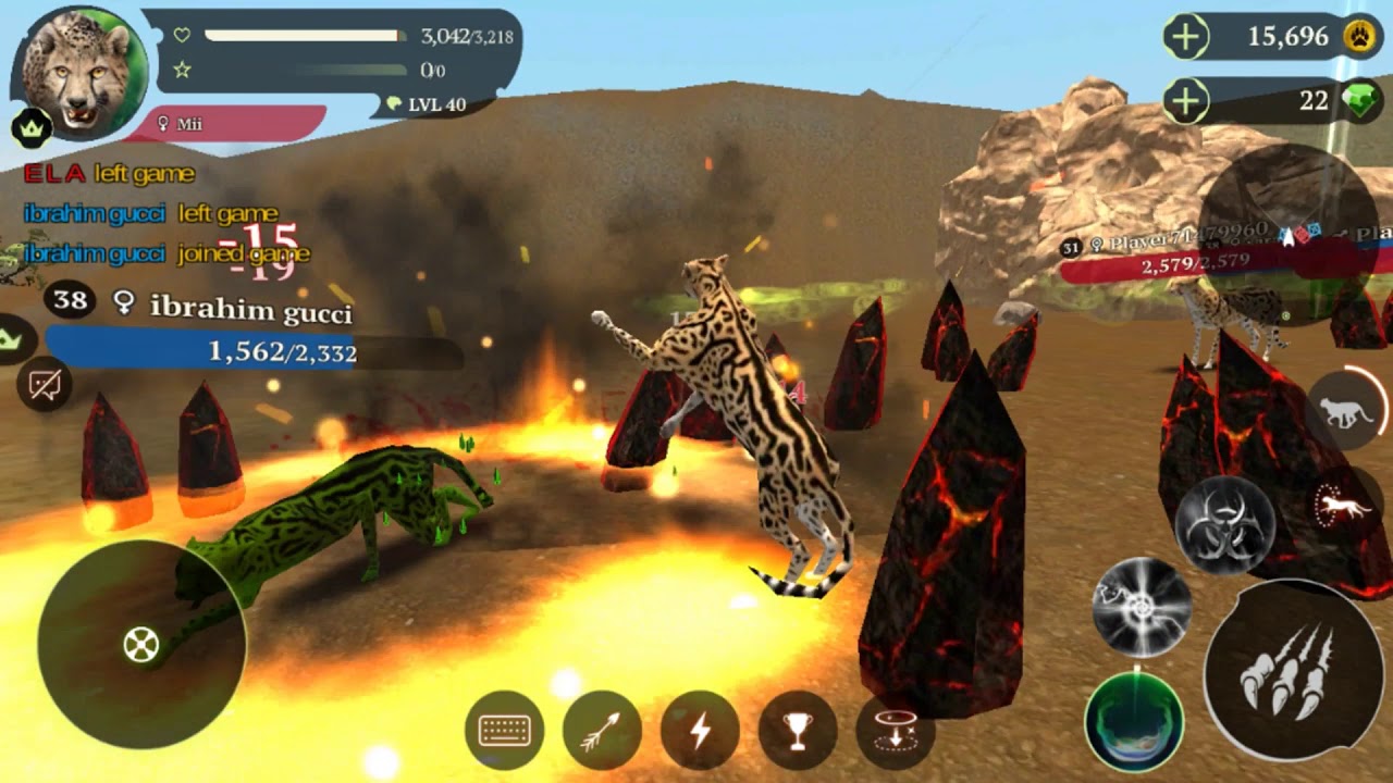 The Cheetah Online Simulator