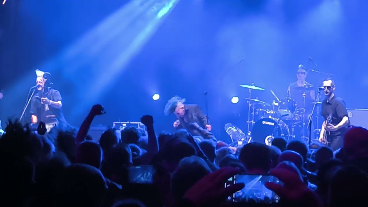 VID 20250405 212902 Demented Are Go