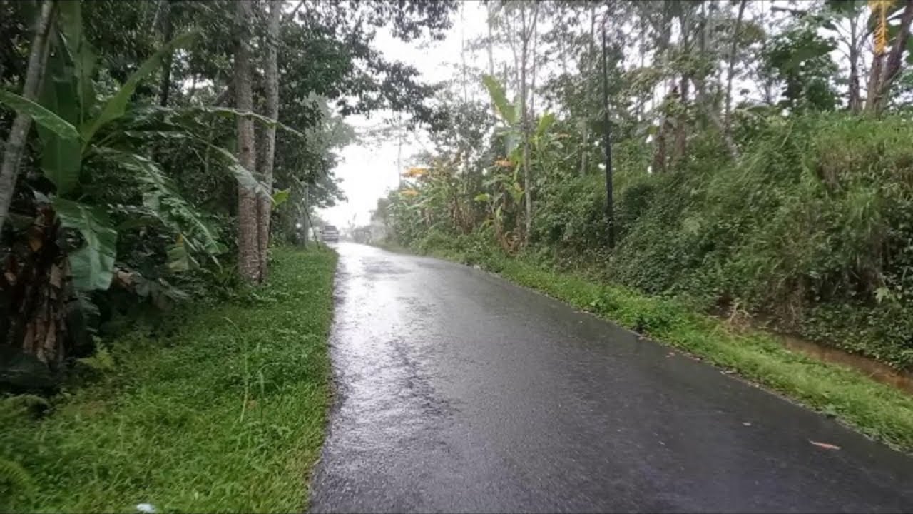 drizzling rain in a beautiful village with beautiful views of rice fields