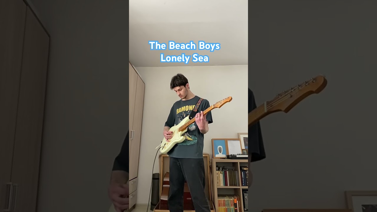 #thebeachboys