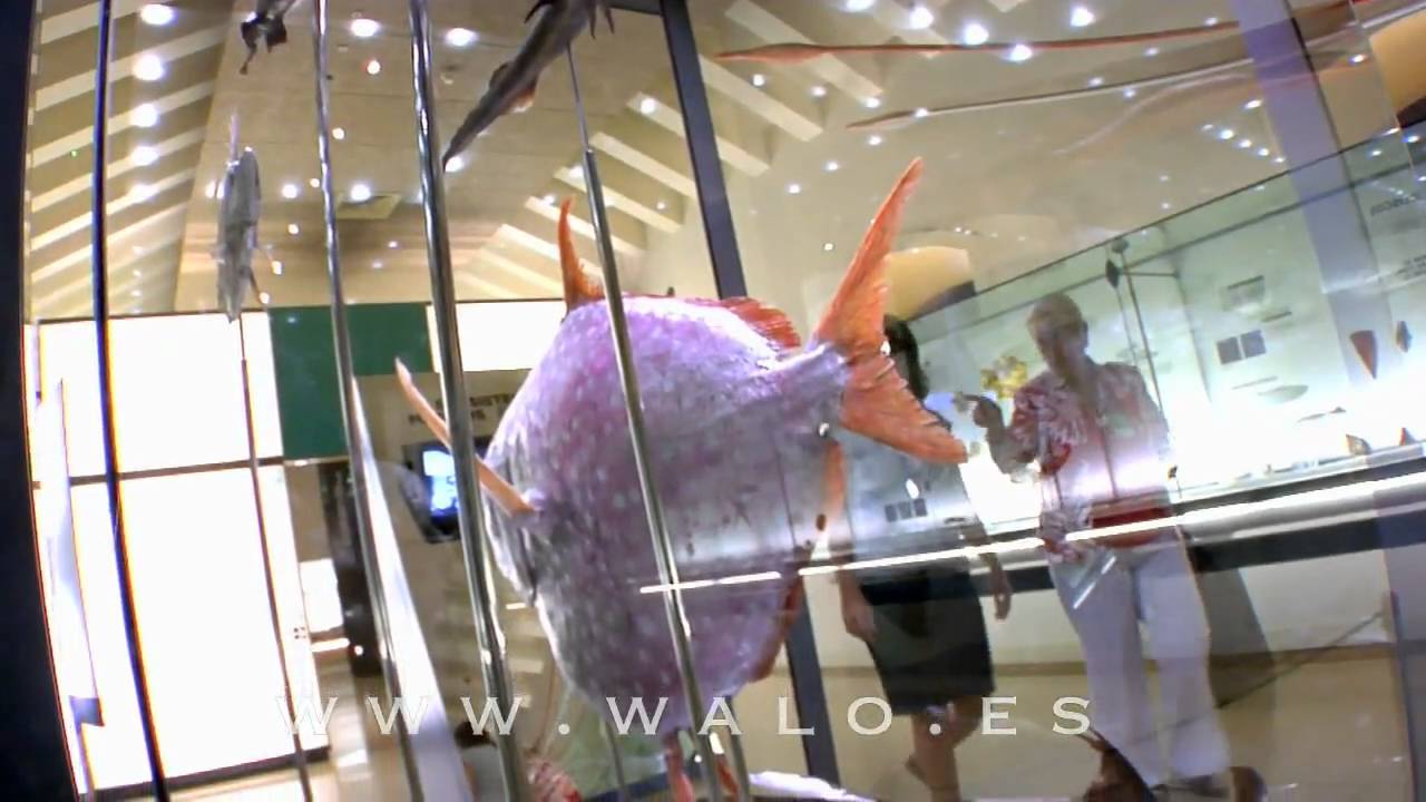 MUSEO CIENCIA NATURAL