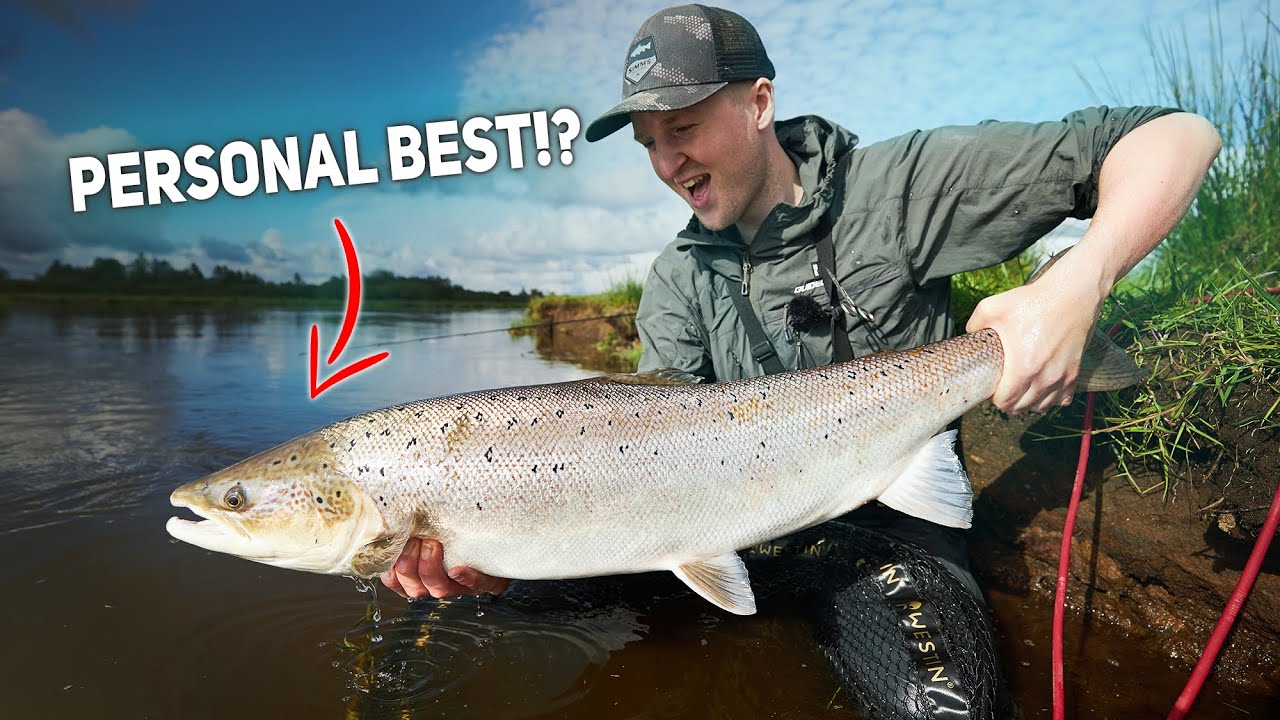 Big Salmon Fishing, In Denmark - Epic Spin Fishing For Huge Salmon!