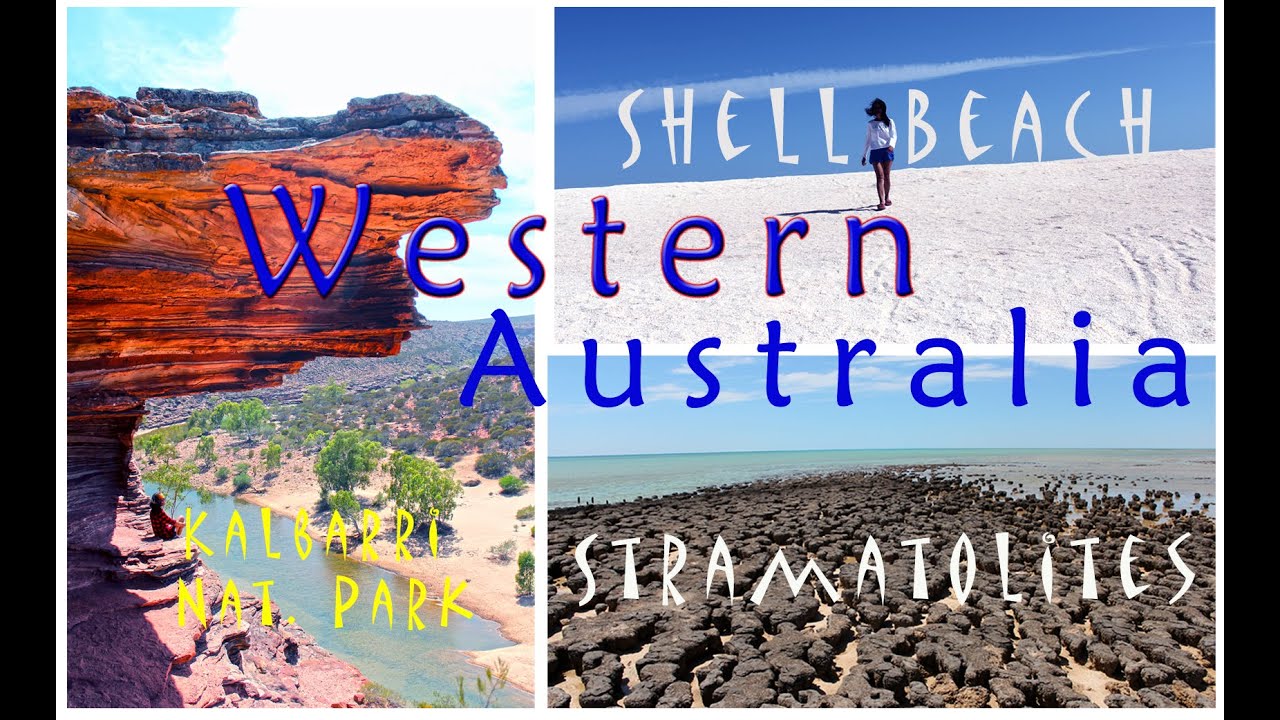 🇦🇺 Travel Route Guide in Western Australia | Shark Bay | Shell Beach | Stromatolites | Monkey Mia
