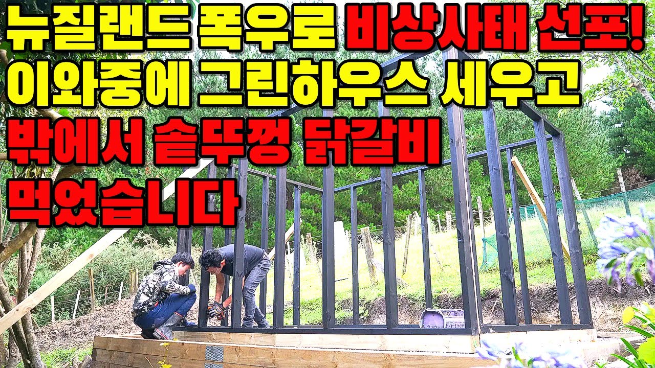 뉴질랜드 폭우로 비상사태 선포됐는데 그린하우스 세우고 솥뚜껑 닭갈비 먹었습니다