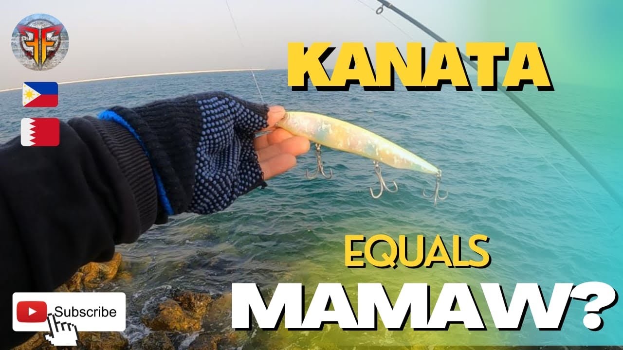 KANATA lure by Megabass is it Effective? #bahrain #fishing #ofw #shorefishing #fisherman