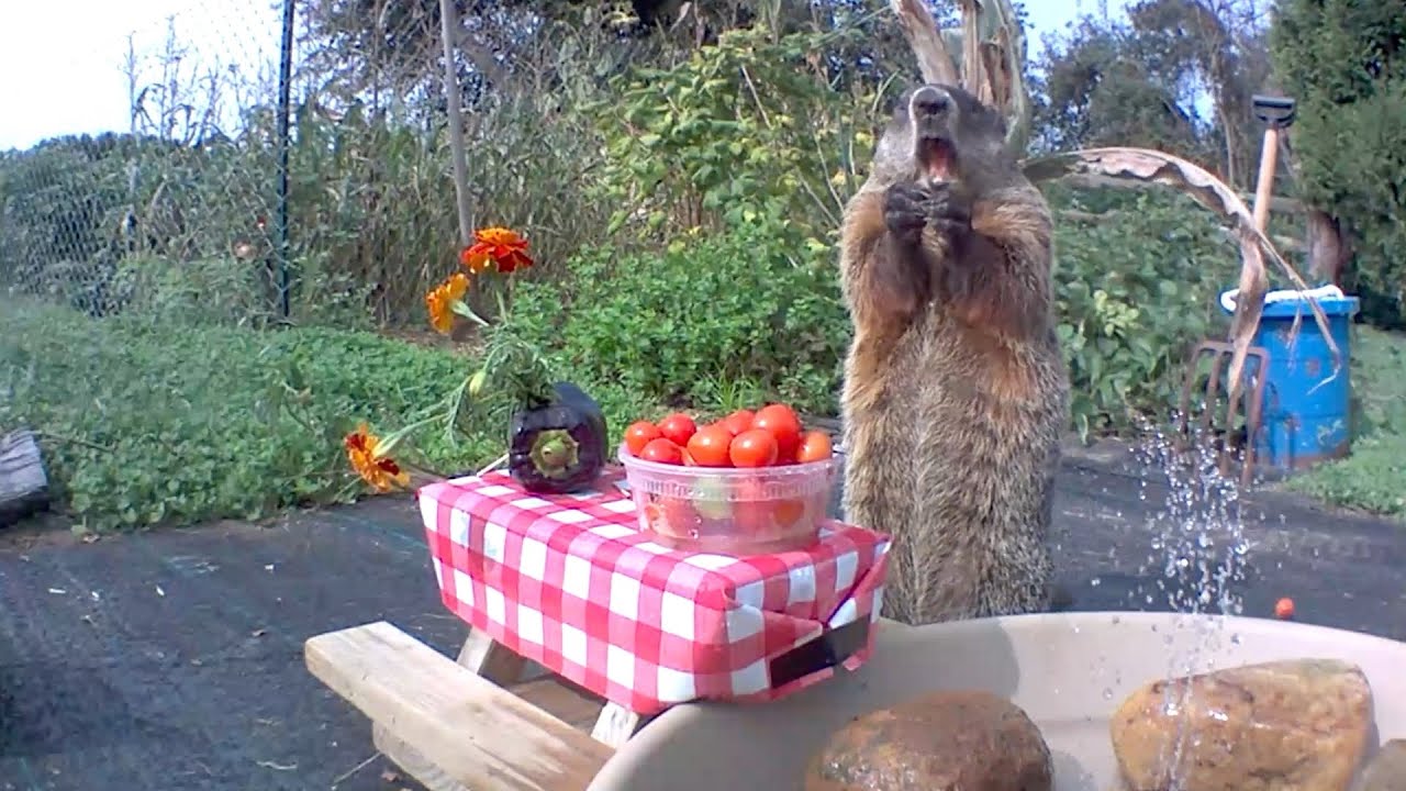 Table For One Please!
