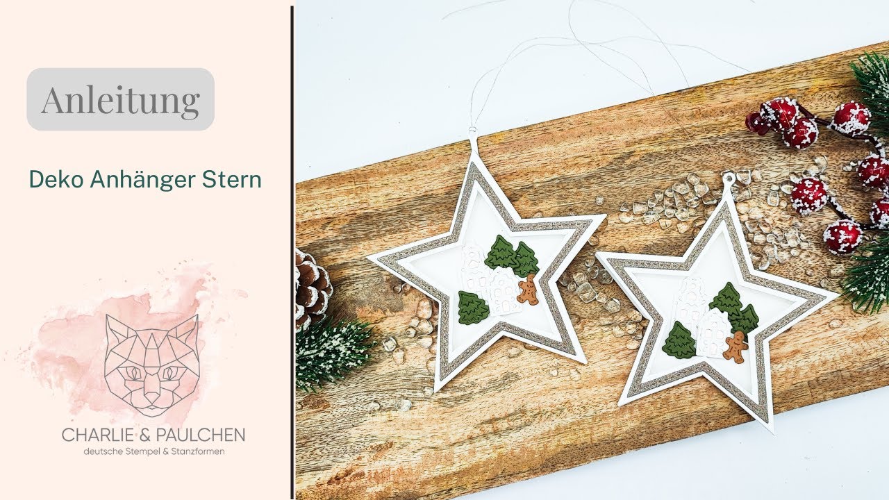 Anleitung Weihnachtlicher Sternen-Anhänger für Christbaum oder Geschenke mit Passepartout Stern
