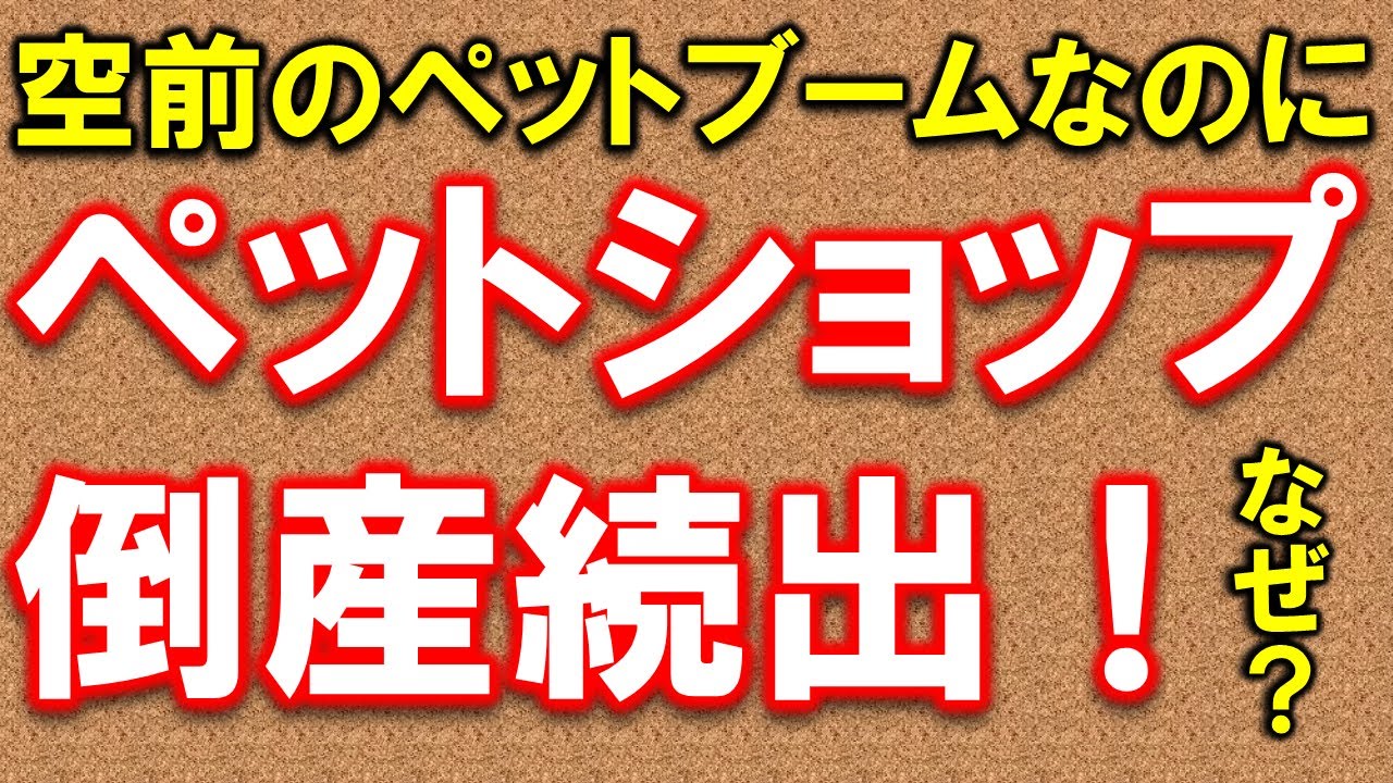 【倒産続出】ペットショップ　空前のペットブームなのになぜ？　事業再生の専門家が解説します。