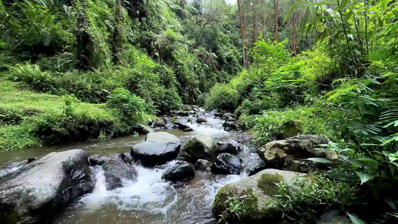 Soothing river sound under moonlit forest sky helping deeper deep sleep continue without stress