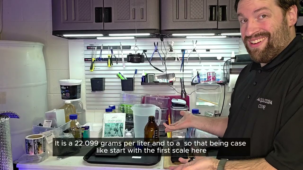 DIY Dosing in Reef Aquarium