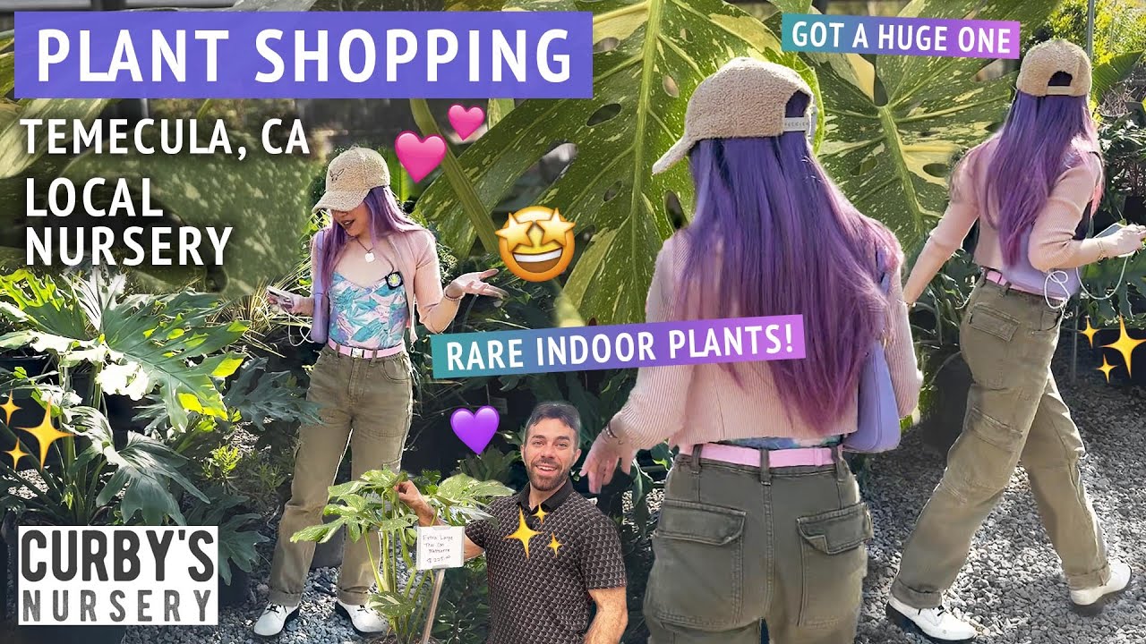 SHOPPING FOR INDOOR PLANTS 🤩🛒 Affordable rare finds at Curby’s Nursery in Temecula California 💜