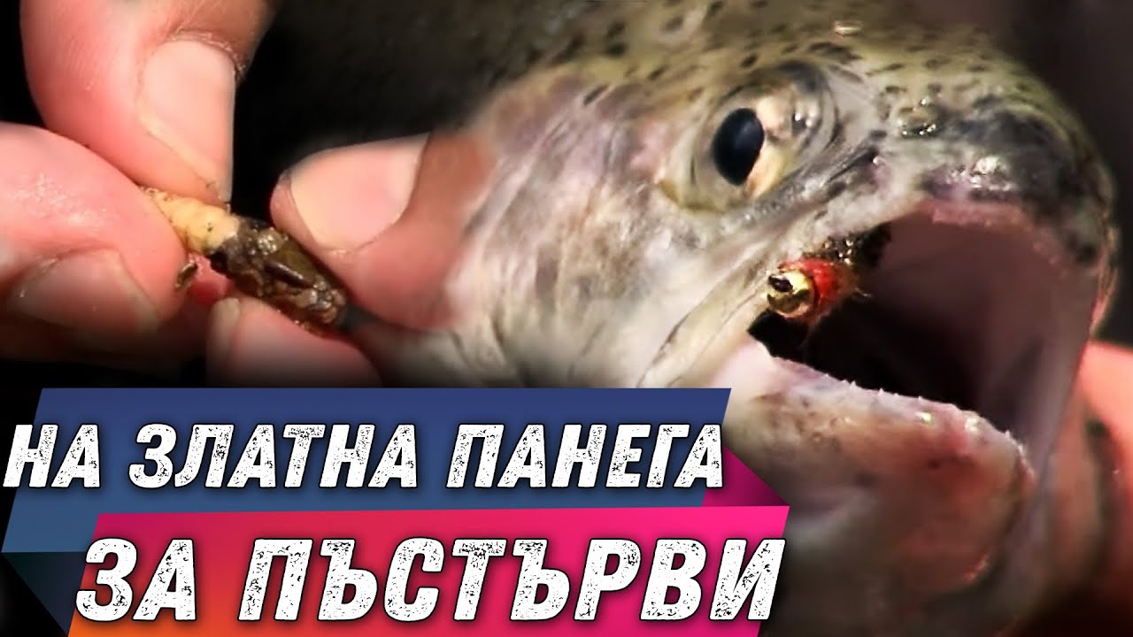 Как да хванем повече пъстърви? / С нимфа по панега от Станислав Мънков