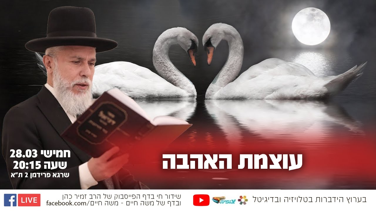 עוצמת האהבה - הרב זמיר כהן בשידור חי 🙌 שתפו לזיכוי הרבים