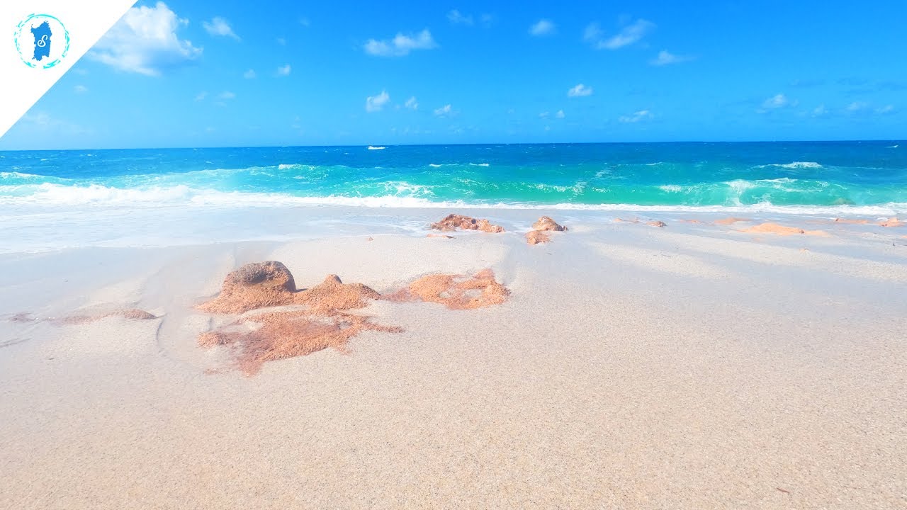 Sirens' Song: Harmonic Tides - Sea 4K