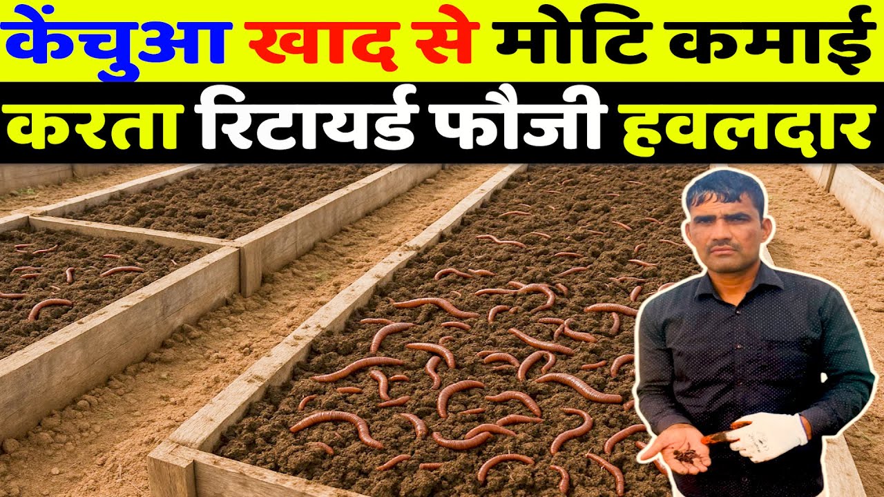 केचुआ खाद में जबरदस्त कमाई Vermi Composting Business।VermiCompost kaise bnaye