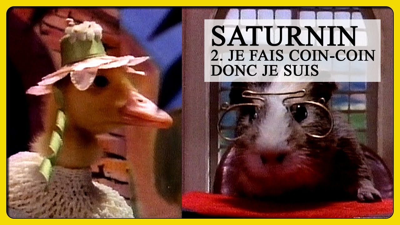 LES NOUVELLES AVENTURES DE SATURNIN [Je fais coin-coin donc je suis - 02] - [VHS Canetons espions]